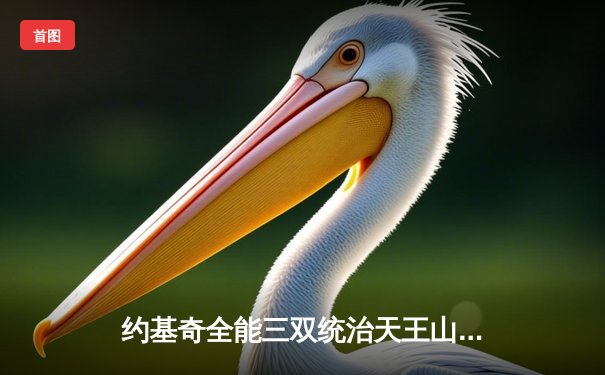 约基奇全能三双统治天王山，掘金逆转森林狼夺赛点